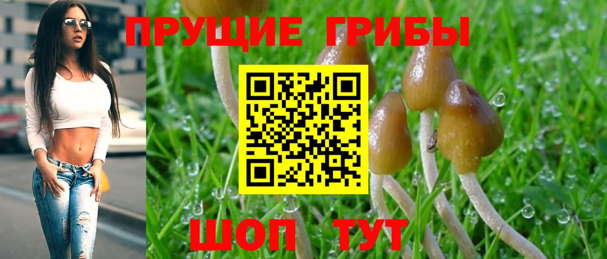 Галлюциногенные грибы GOLDEN TEACHER  Псилоцибиновые грибы Psilocybe  Южноуральск  Вход с VPN 